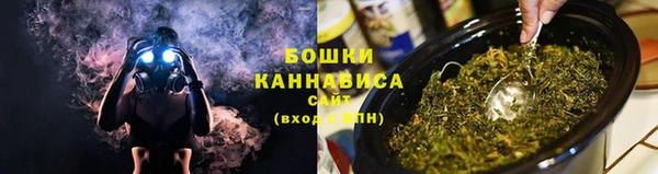гидра Белоозёрский