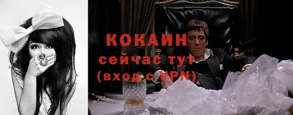 гидра Белоозёрский
