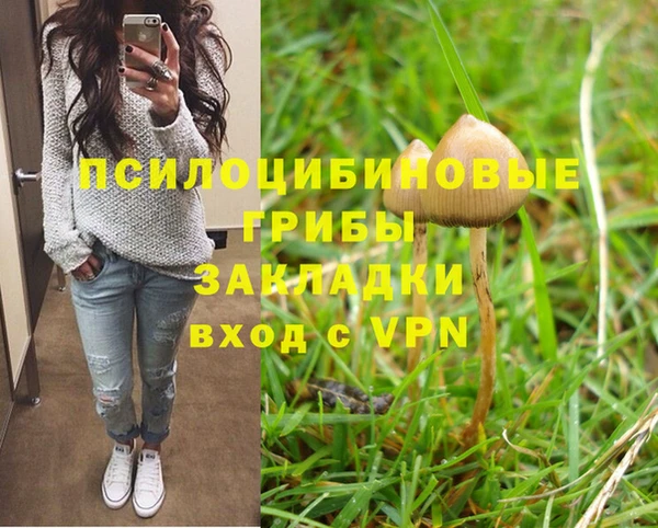 гидра Белоозёрский