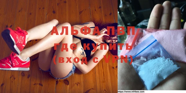 трава Белокуриха